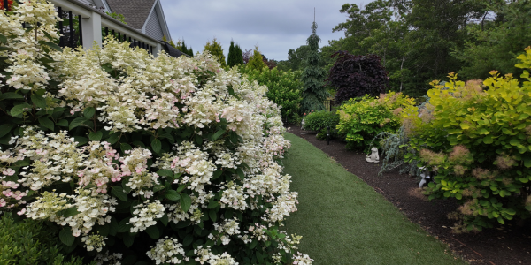 3-Aug-28-2025-11-42-18-9224-AM 3-Aug-28-2025-11-42-18-9224-AM